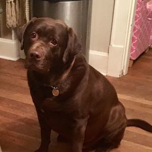 Meet your Posher, Kelly